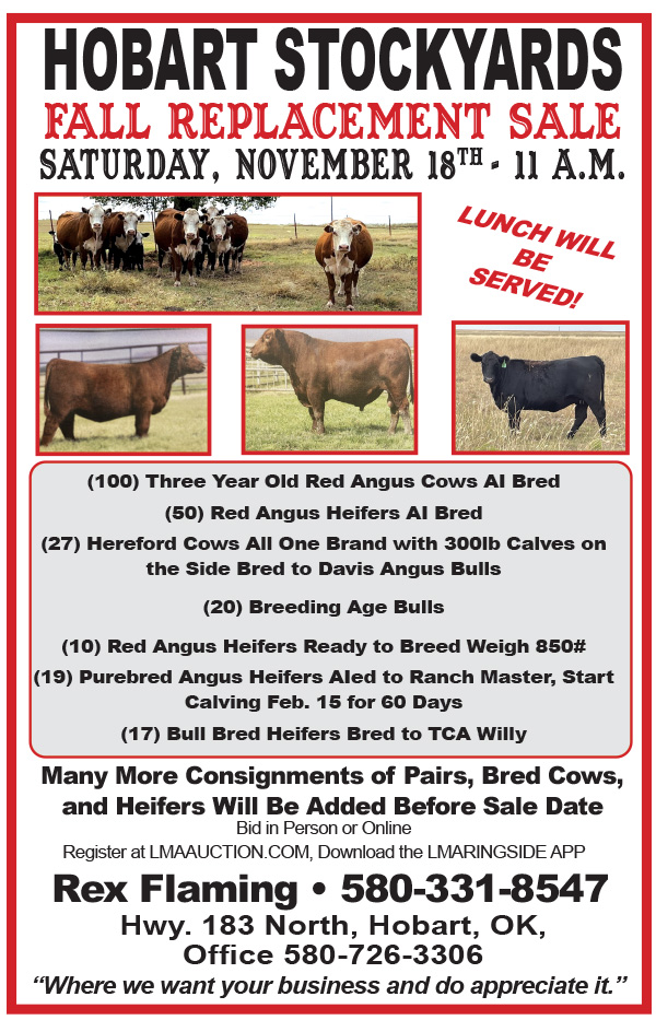 The Penny News Classifieds Cattle for Sale Weekly cattle sale