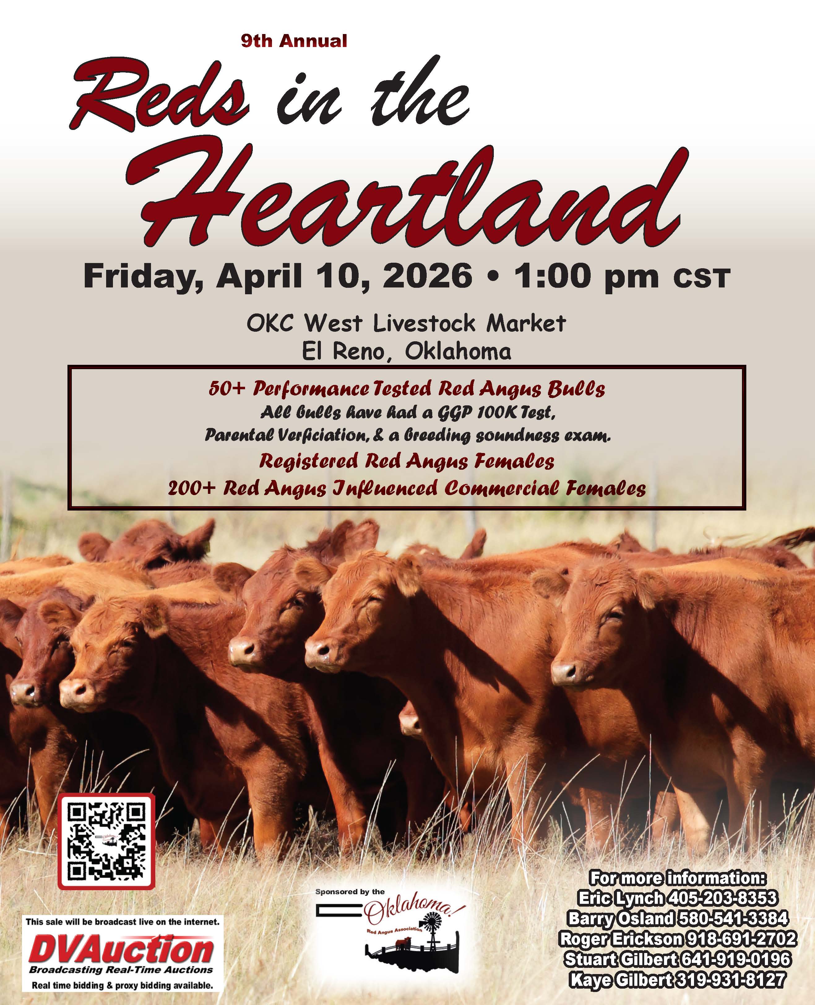 The 9th Annual Reds in the Heartland sale is set for Friday, April 10, 2026 at 1:00 PM CST at OKC West Livestock Market in El Reno, Oklahoma. This premier Red Angus event features over 50 performance tested Red Angus bulls, all backed by genomic testing, parent verification, and breeding soundness exams. The sale also includes registered Red Angus females and more than 200 Red Angus influenced commercial females, offering top-quality genetics for producers looking to strengthen their herd. Hosted by the Oklahoma Red Angus Association, this event brings together trusted breeders and proven cattle lines, with live online bidding available through DVAuction. PN49784